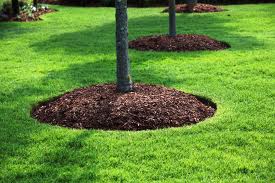 mulch-bed-cut-landscape-mulching-carmel-fishers-indianapolis-fortville-giest-noblesville