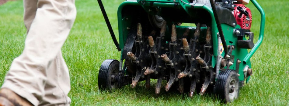 lawn-care-aeration-carmle-landscaper-fishers-noblesville-westfield